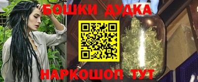 индика Нальчик