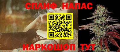 PSILOCYBIN Новозыбков